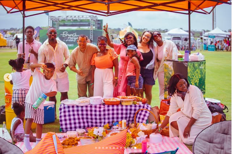 Famílias em piquenique no relvado